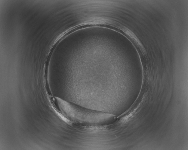 X0000083970842200702232016
