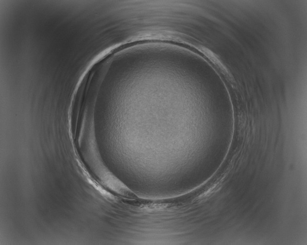 X0000083970846200702232016