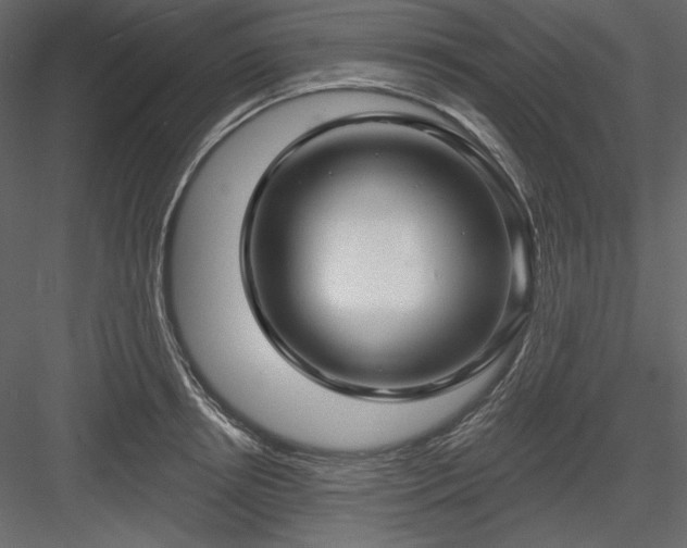 X0000083970850200702232016