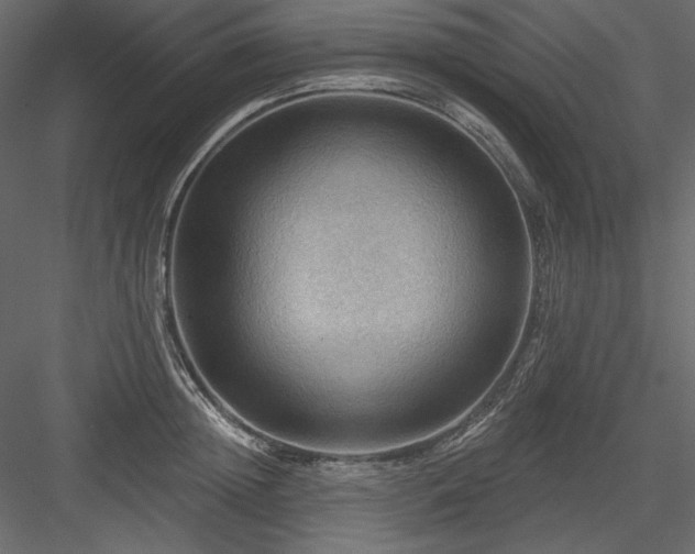X0000083970852200702232016