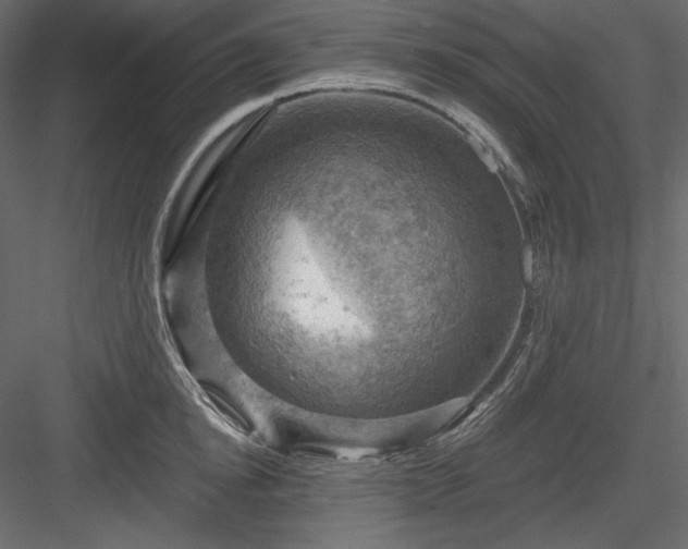 X0000083970854200702232016