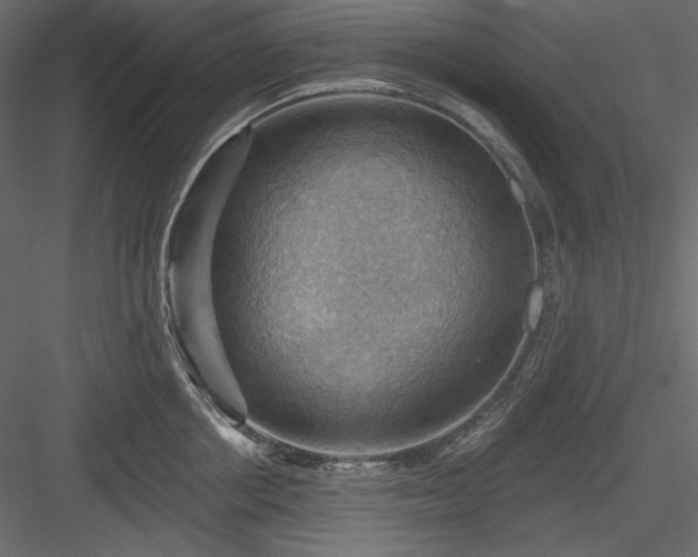 X0000083970858200702232016