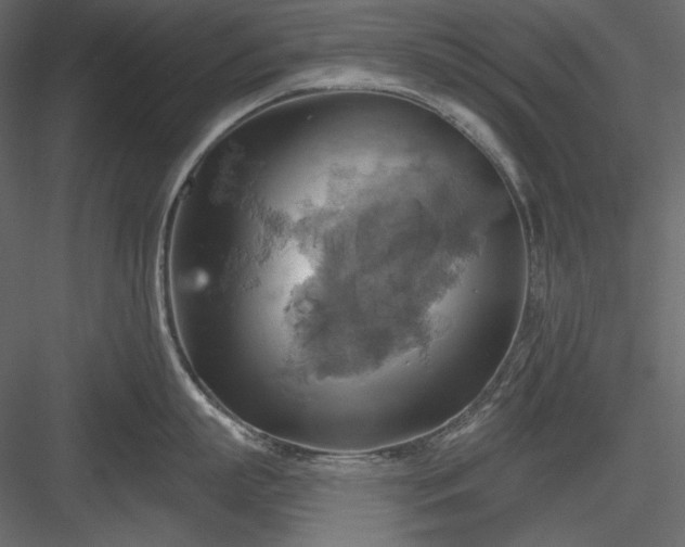 X0000083970863200702232016