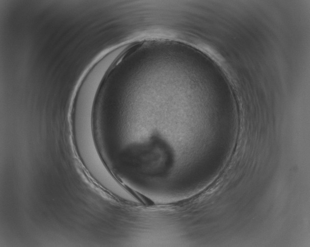 X0000083970864200702232016