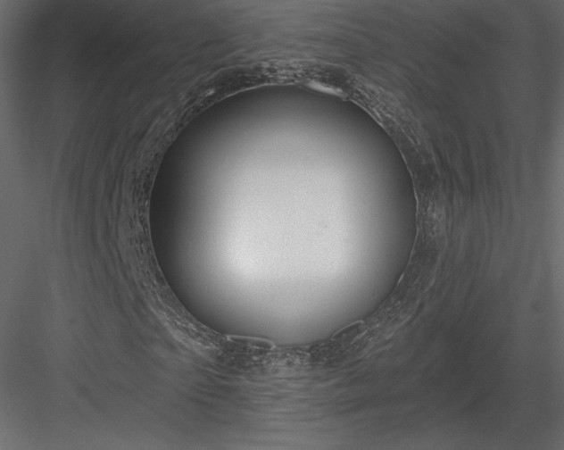 X0000083970865200702232015