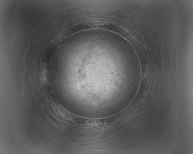 X0000083970866200702232015