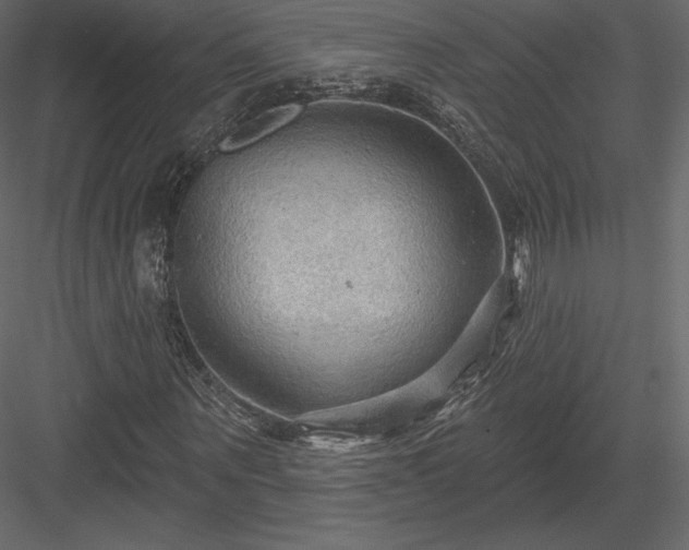 X0000083970867200702232015