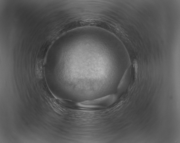 X0000083970868200702232015