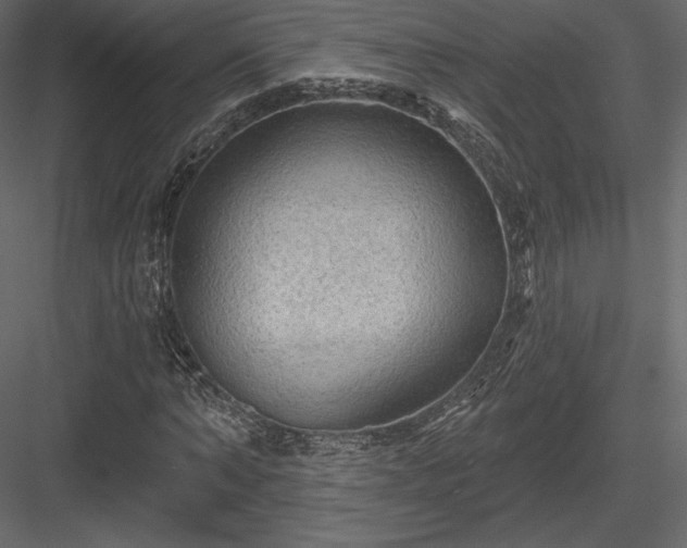 X0000083970870200702232015