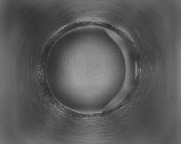 X0000083970872200702232015