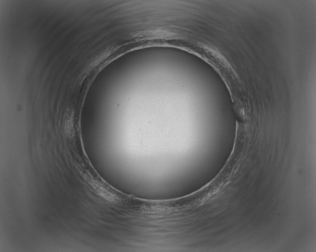 X0000083970873200702232015