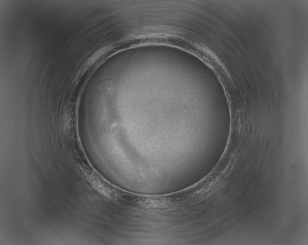 X0000083970874200702232015