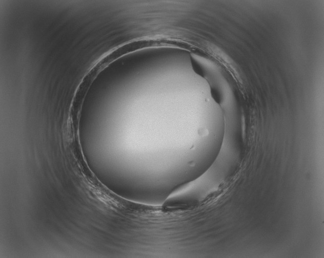 X0000083970876200702232015
