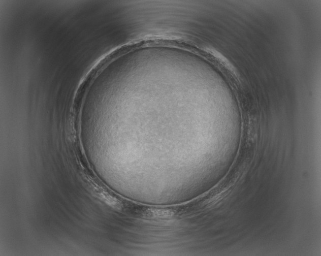 X0000083970878200702232015