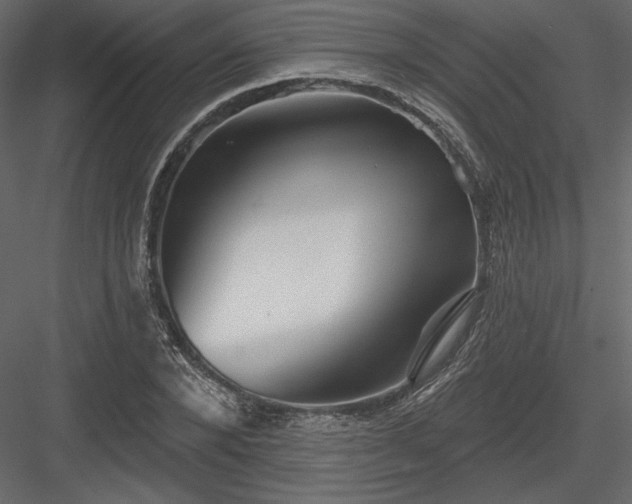 X0000083970880200702232015