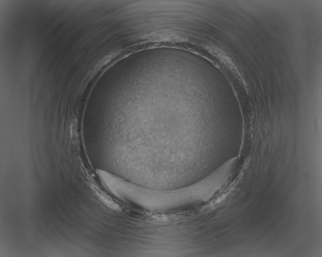 X0000083970881200702232015