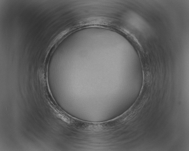 X0000083970882200702232015
