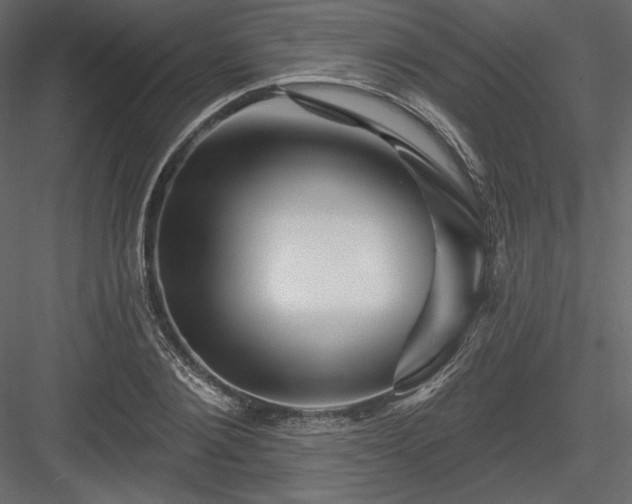 X0000083970884200702232015