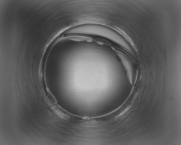 X0000083970885200702232015