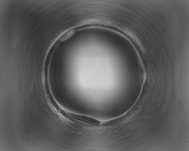 X0000083970888200702232015