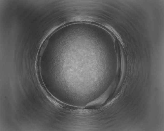 X0000083970893200702232015