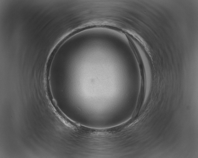 X0000083970894200702232015