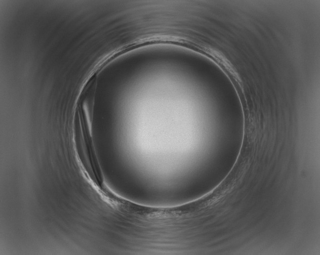 X0000083970898200702232015