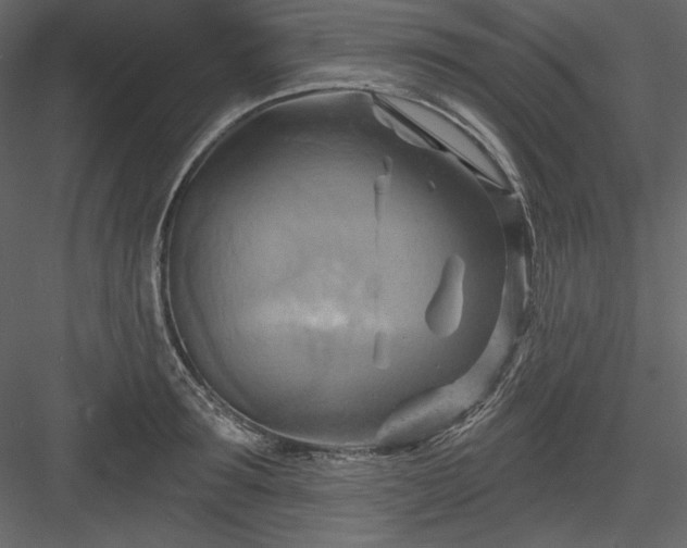 X0000083970899200702232015