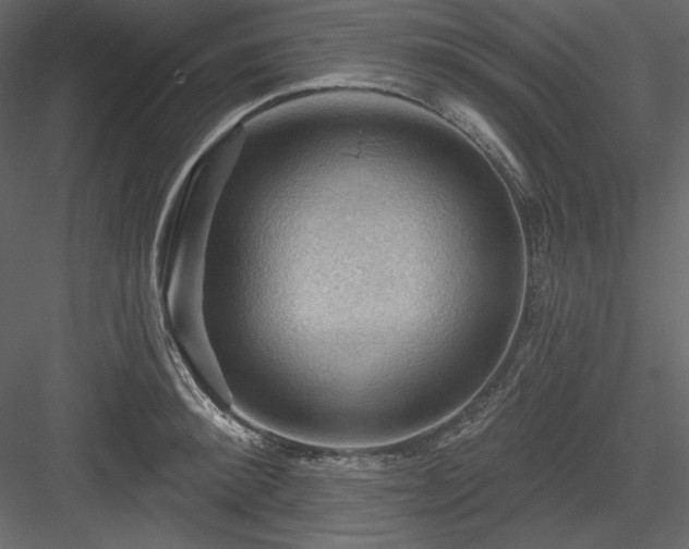 X0000083970900200702232015