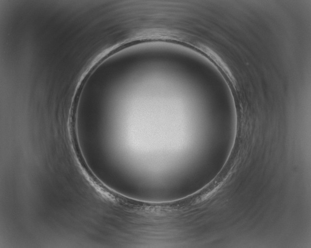 X0000083970901200702232015