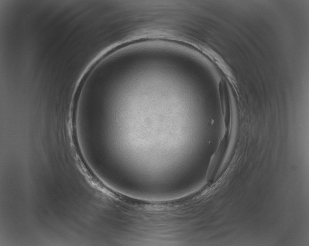 X0000083970904200702232014