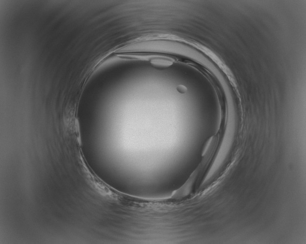 X0000083970905200702232014