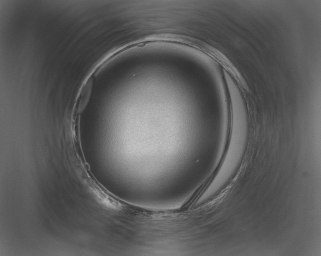 X0000083970908200702232014