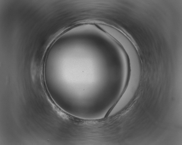 X0000083970909200702232014