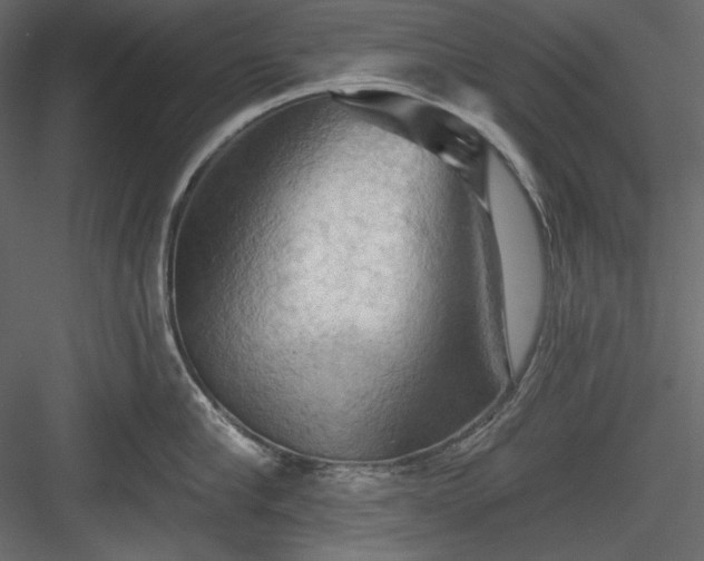 X0000083970910200702232014