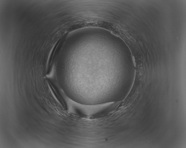 X0000083970916200702232014