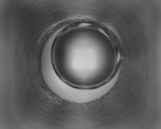 X0000083970920200702232014