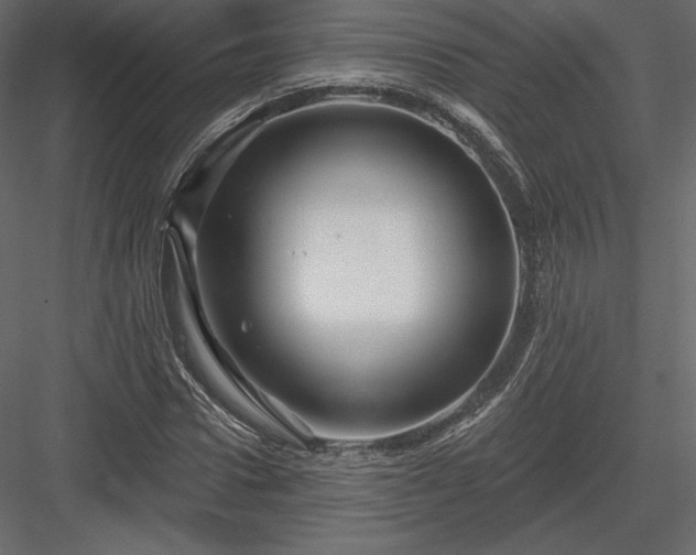 X0000083970922200702232014