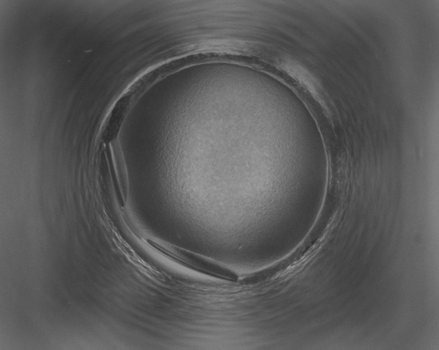 X0000083970923200702232014