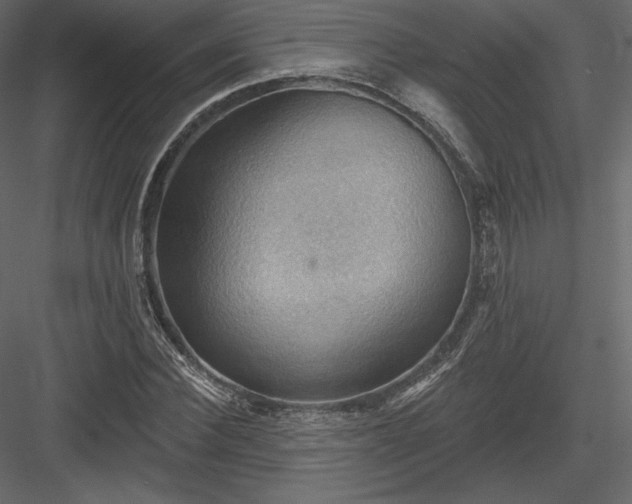 X0000083970924200702232014