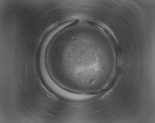 X0000083970930200702232014