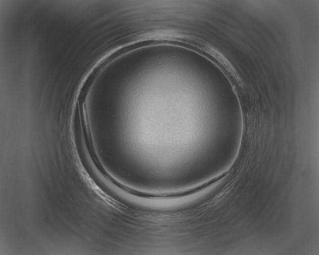 X0000083970939200702232014