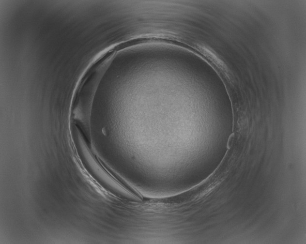 X0000083970940200702232014