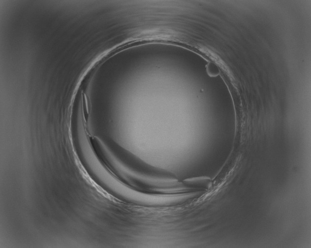 X0000083970941200702232014