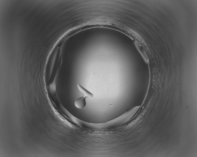 X0000083970942200702232014