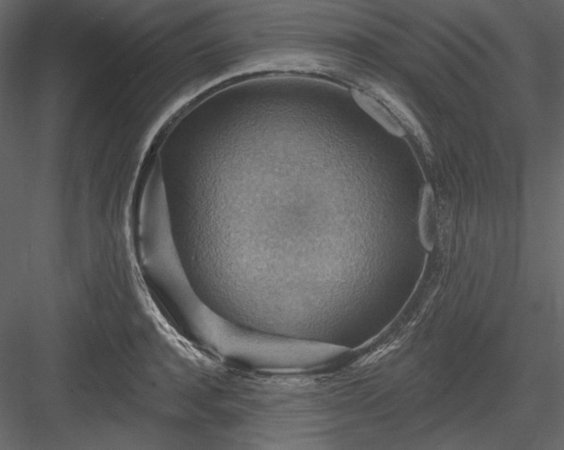 X0000083970944200702232014