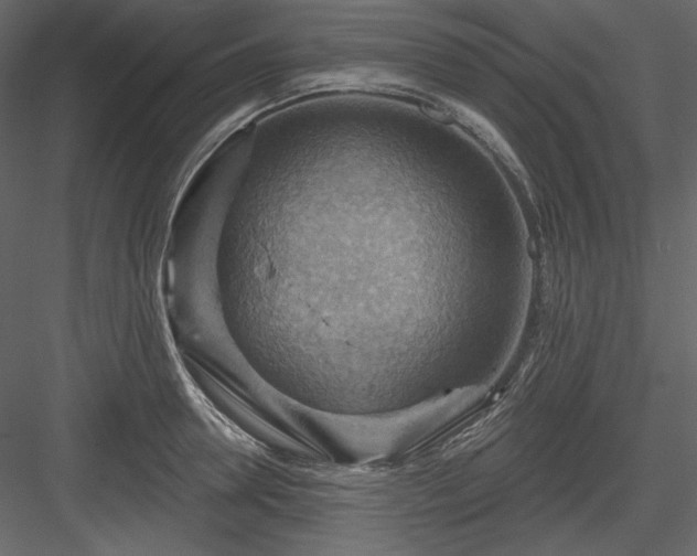 X0000083970946200702232014