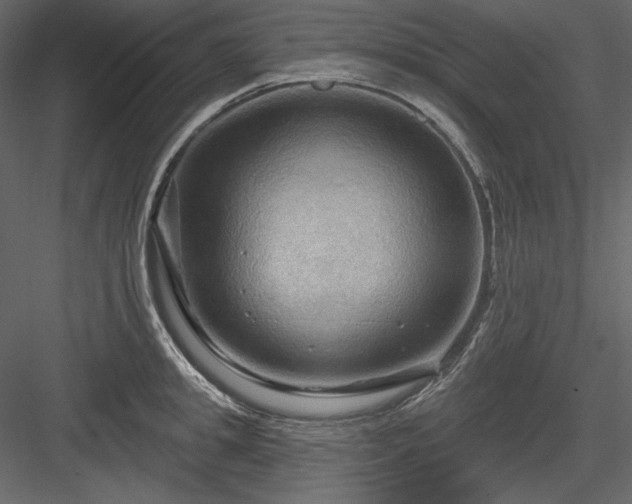 X0000083970949200702232014