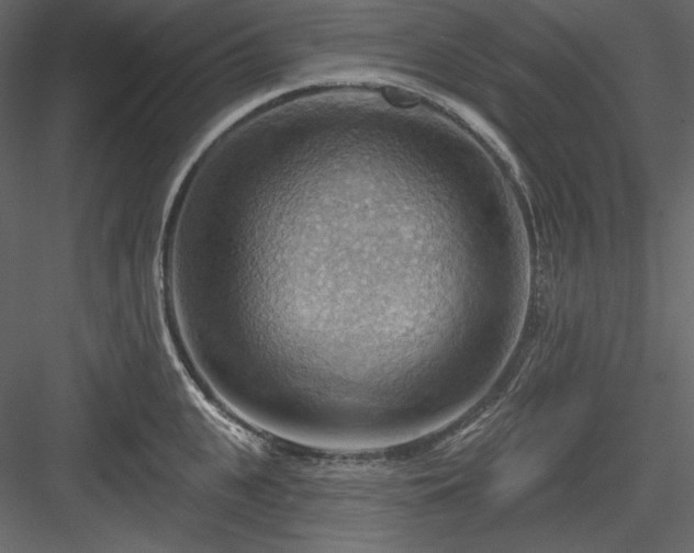 X0000083970951200702232014