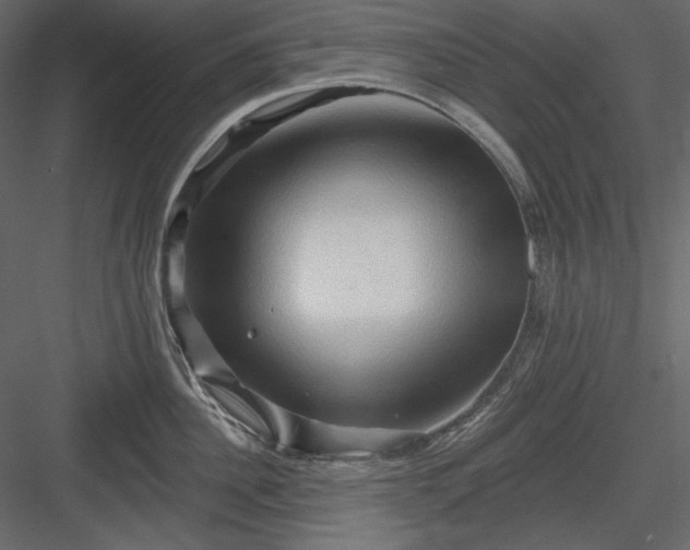 X0000083970956200702232014